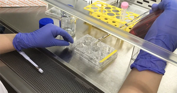 従来法との相関グラフ